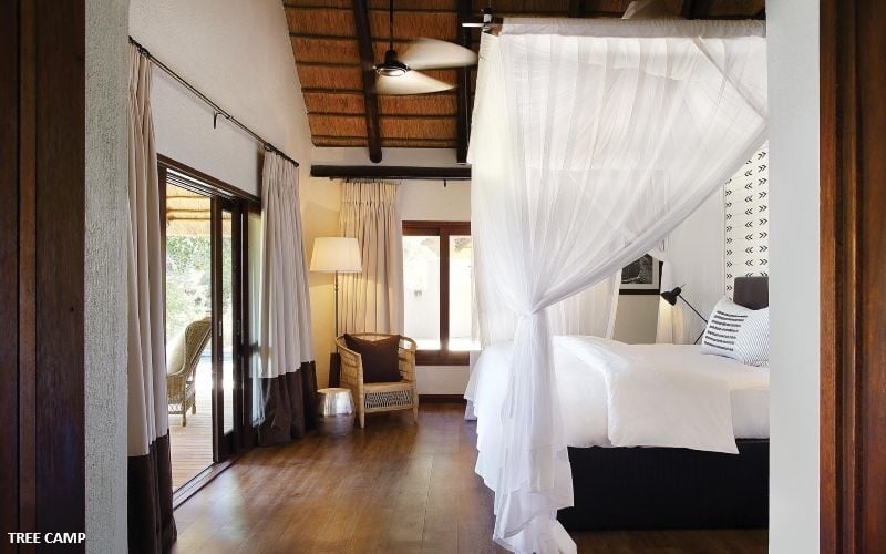 Londolozi Tree Camp 28